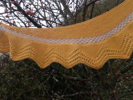 12122903_10153309273384702_134557776448038512_n