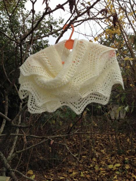 12241365_919217491492670_577288382613502907_n