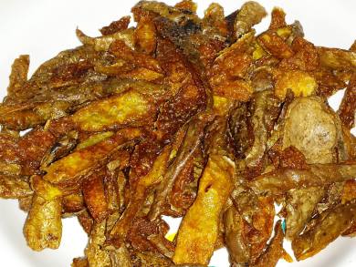 12562659_10206134924192876_2118716567_o