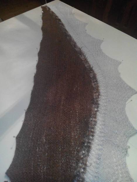 734706_10208337818272716_7075746961253227682_n