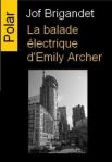 cvt_la-balade-electrique-demily-archer_4388
