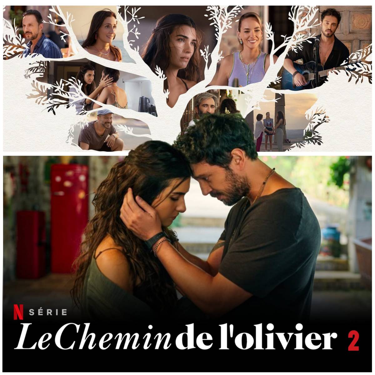 Le Chemin De L olivier Saison 2 La S rie Turque Qui T explique Les le-chemin-de-l-olivier-saison-2-la-s-rie-turque-qui-t-explique-les