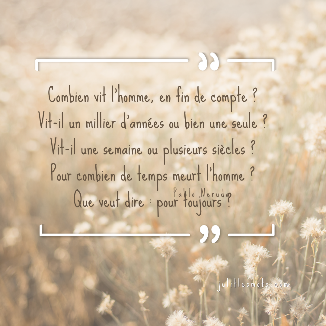 Citation sur les chiens - Plus de 60 idées pour vous inspirer !, image size:1080x1080