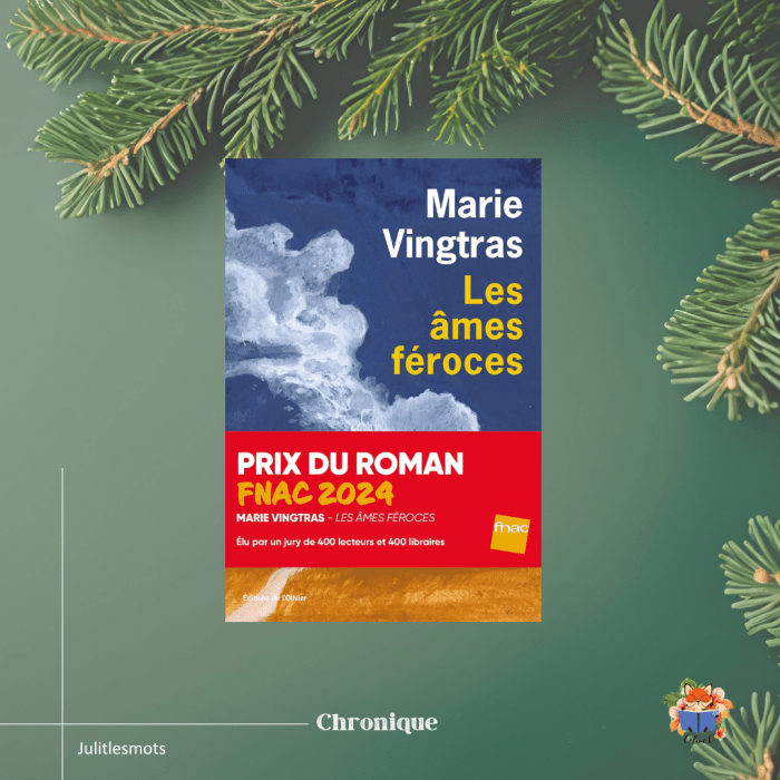 Les avis de Céline C. : Les âmes féroces de Marie&nbsp;Vingtras