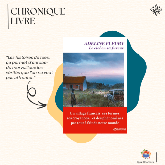 Les avis de Céline C. : Le ciel en sa fureur d’Adeline&nbsp;Fleury